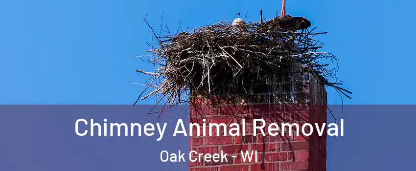 Chimney Animal Removal Oak Creek - WI