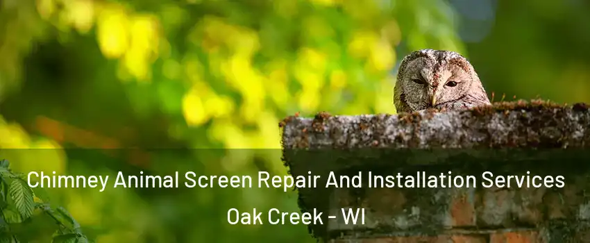  Chimney Animal Screen Repair And Installation Services Oak Creek - WI