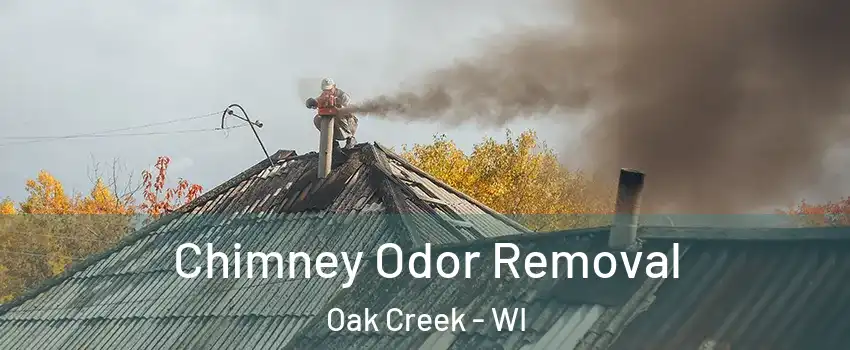  Chimney Odor Removal Oak Creek - WI