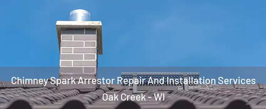  Chimney Spark Arrestor Repair And Installation Services Oak Creek - WI