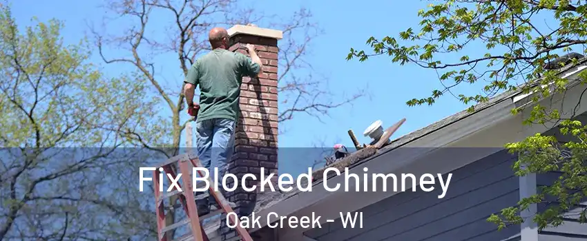  Fix Blocked Chimney Oak Creek - WI