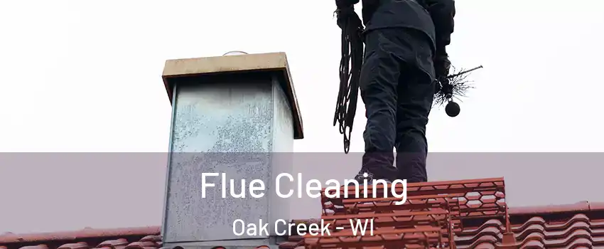  Flue Cleaning Oak Creek - WI
